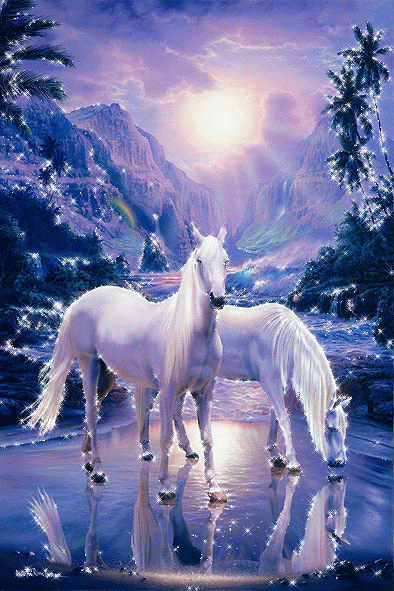 Hareketli ışıltılı iki beyaz at