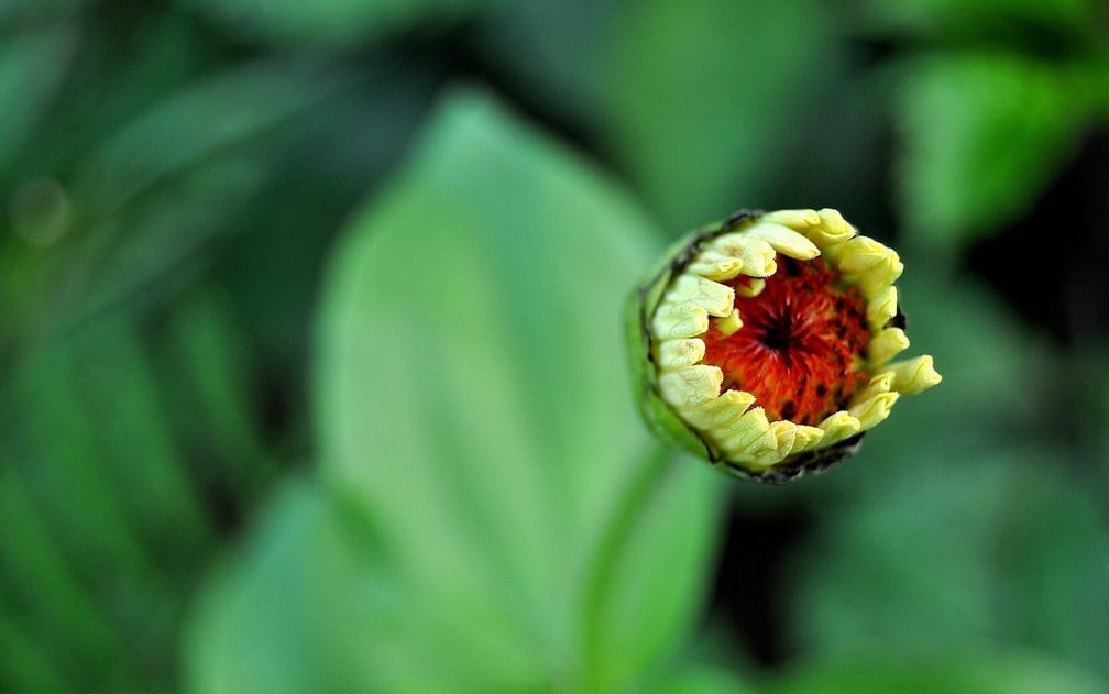 her dem yeni doğarız