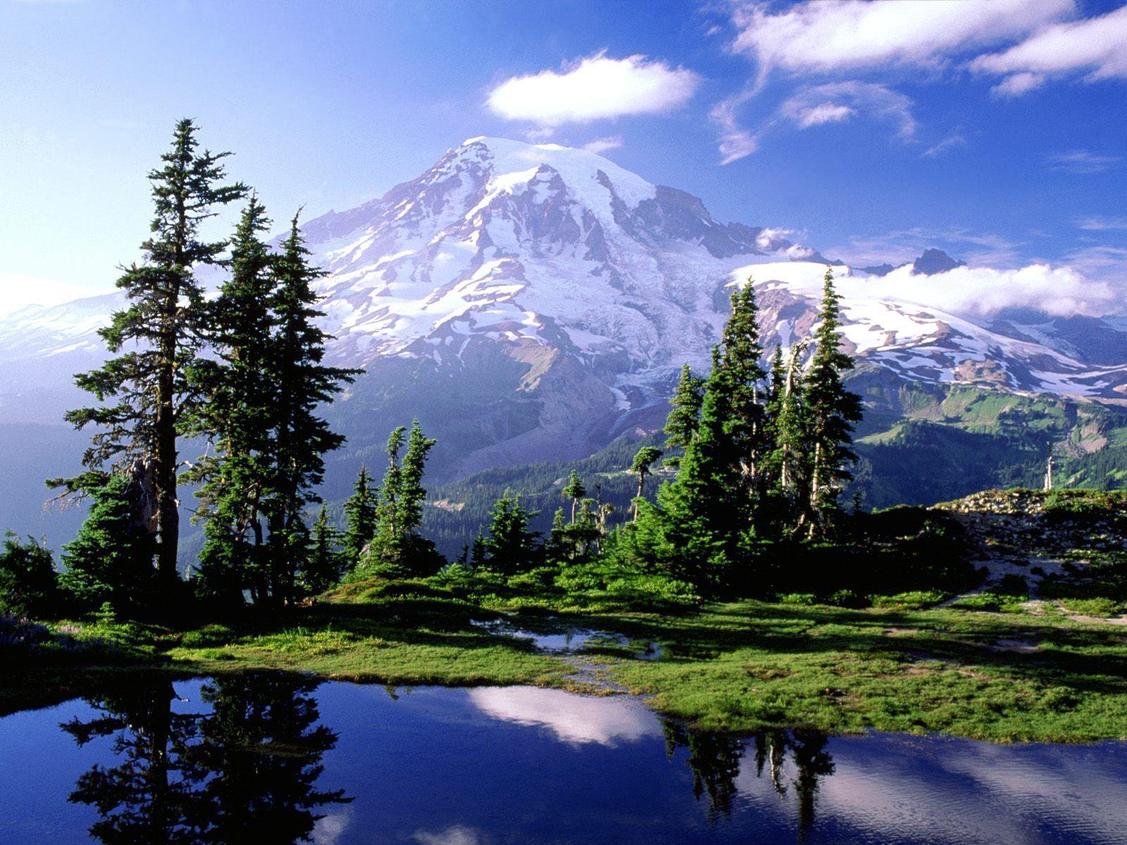 hidden_lake_in_mount_rainier_national_park_washington-1299284132
