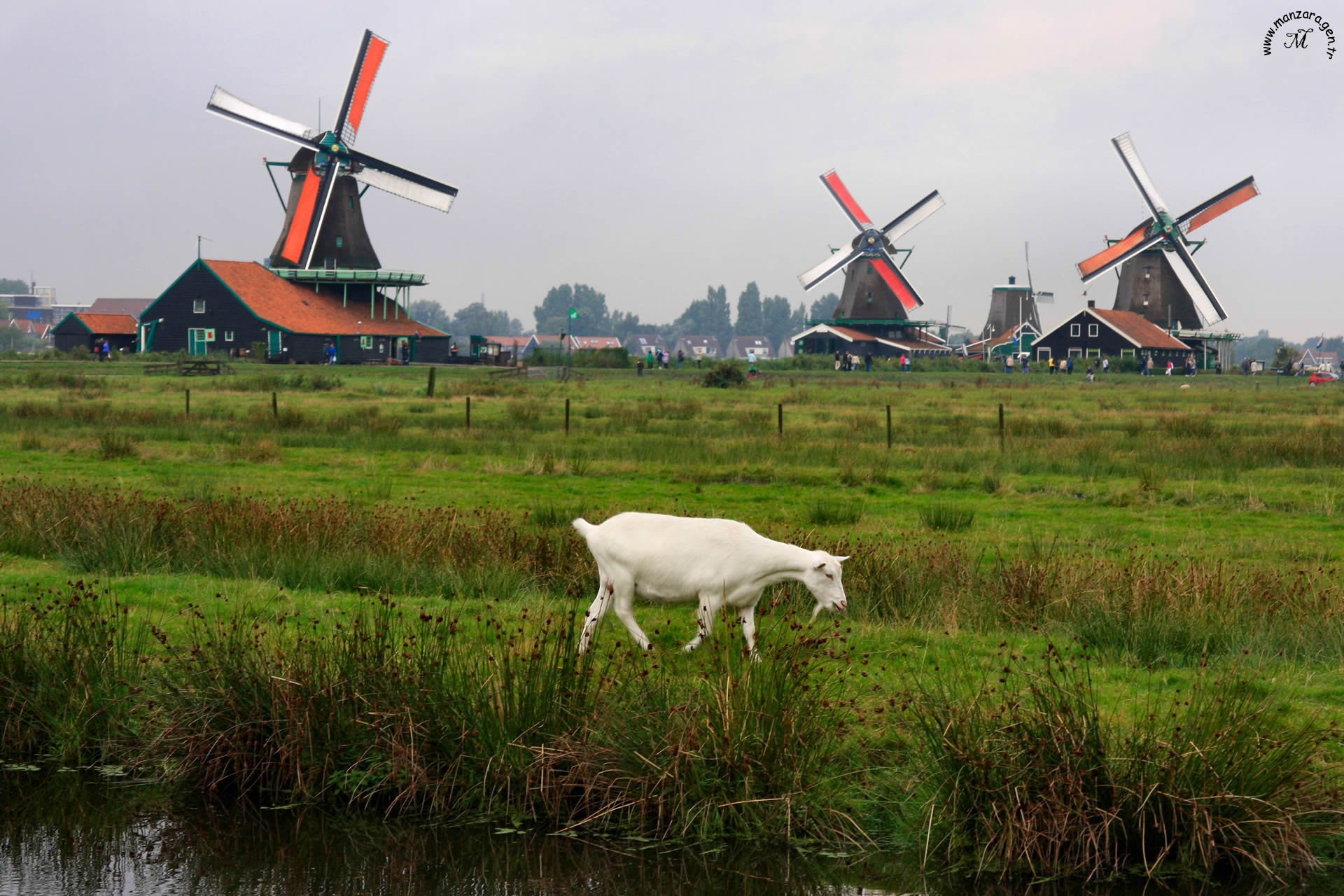 hollanda arka planları