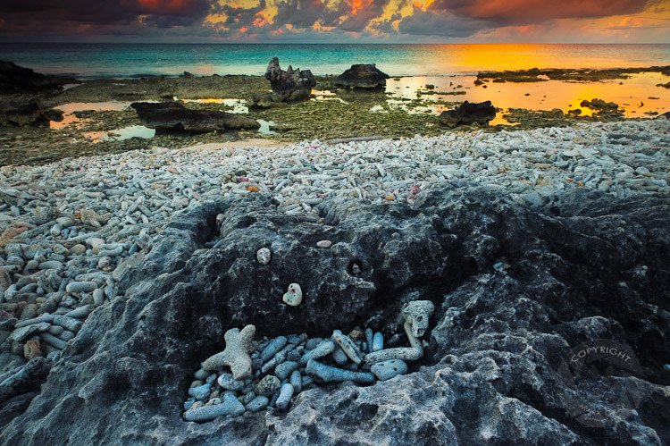 hollanda duvar kağıtları