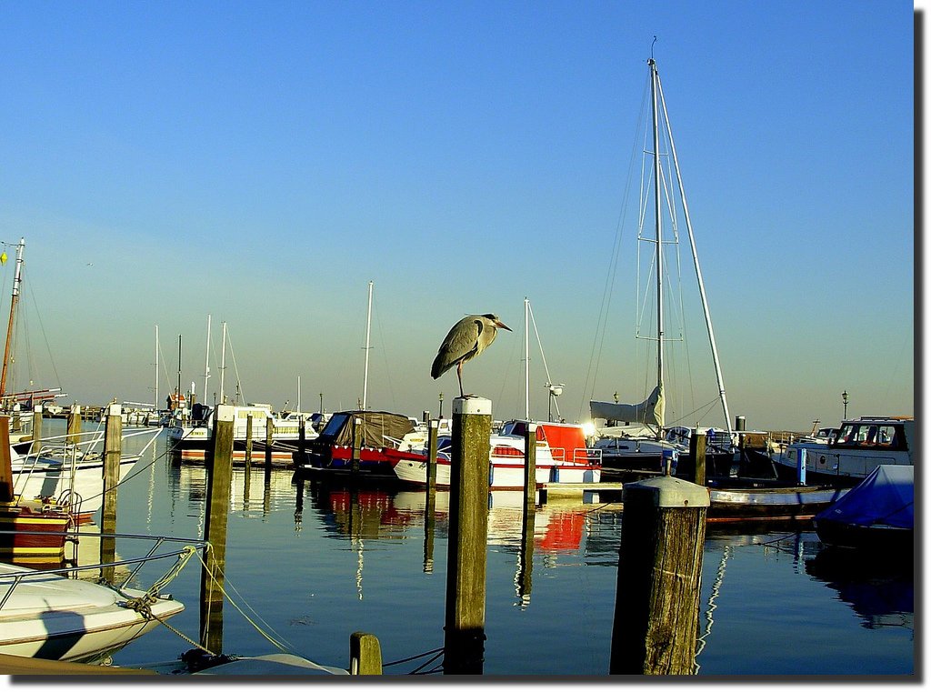 hollanda fotoğrafları - 2