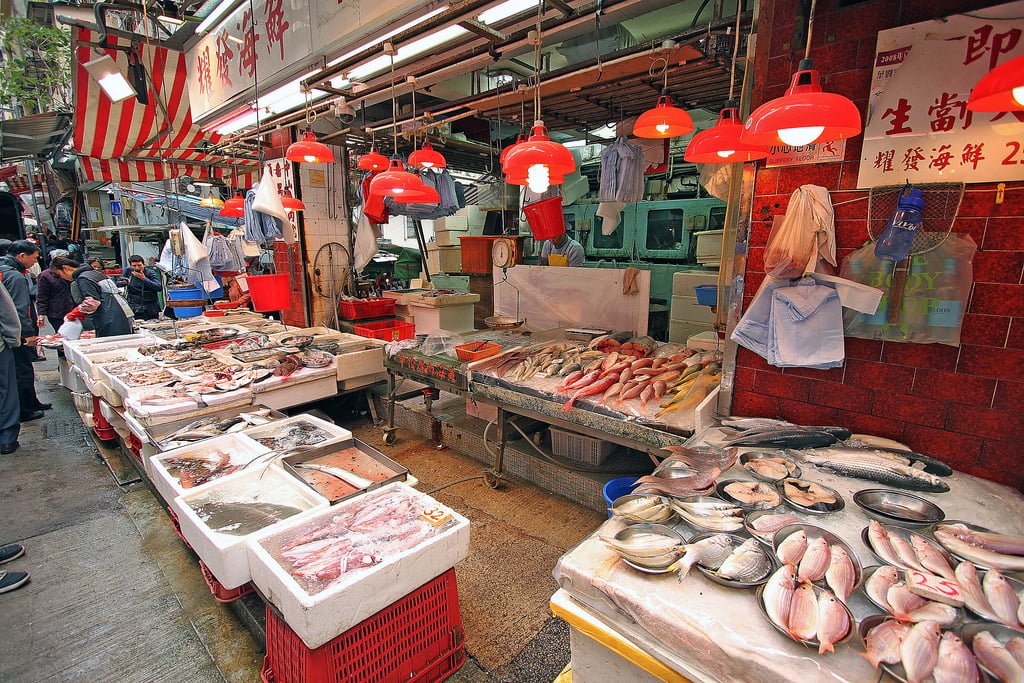 hong kong resimleri - 8