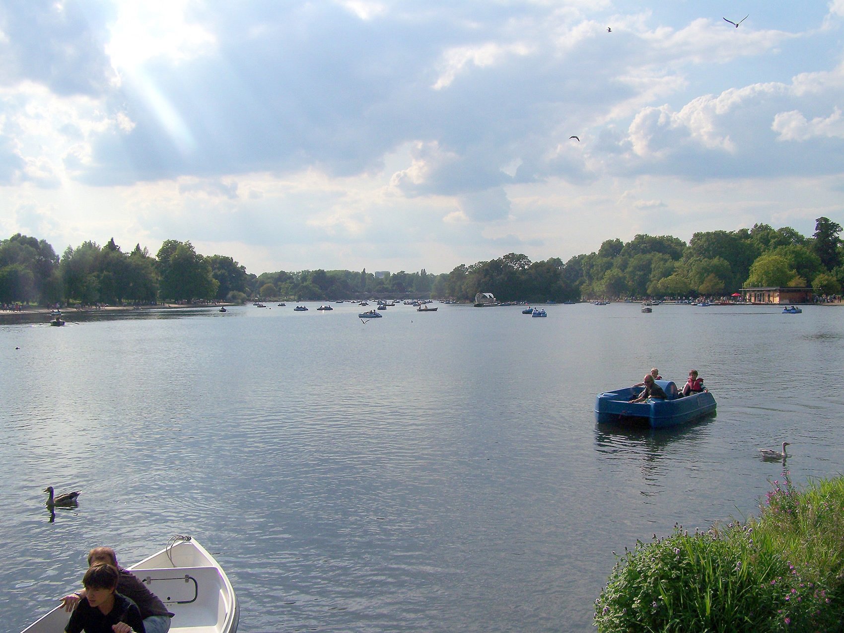 ingiltere duvar kağıtları