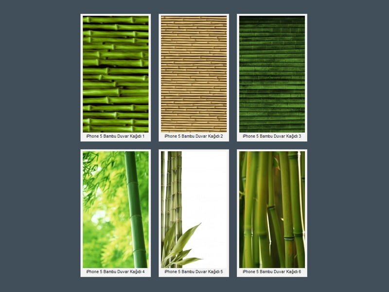 iphone-5-bambu-wallpapers
