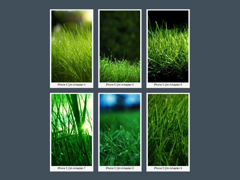 iphone-5-yesil-cim-wallpapers