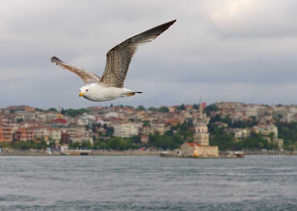 istanbul resimleri - 13