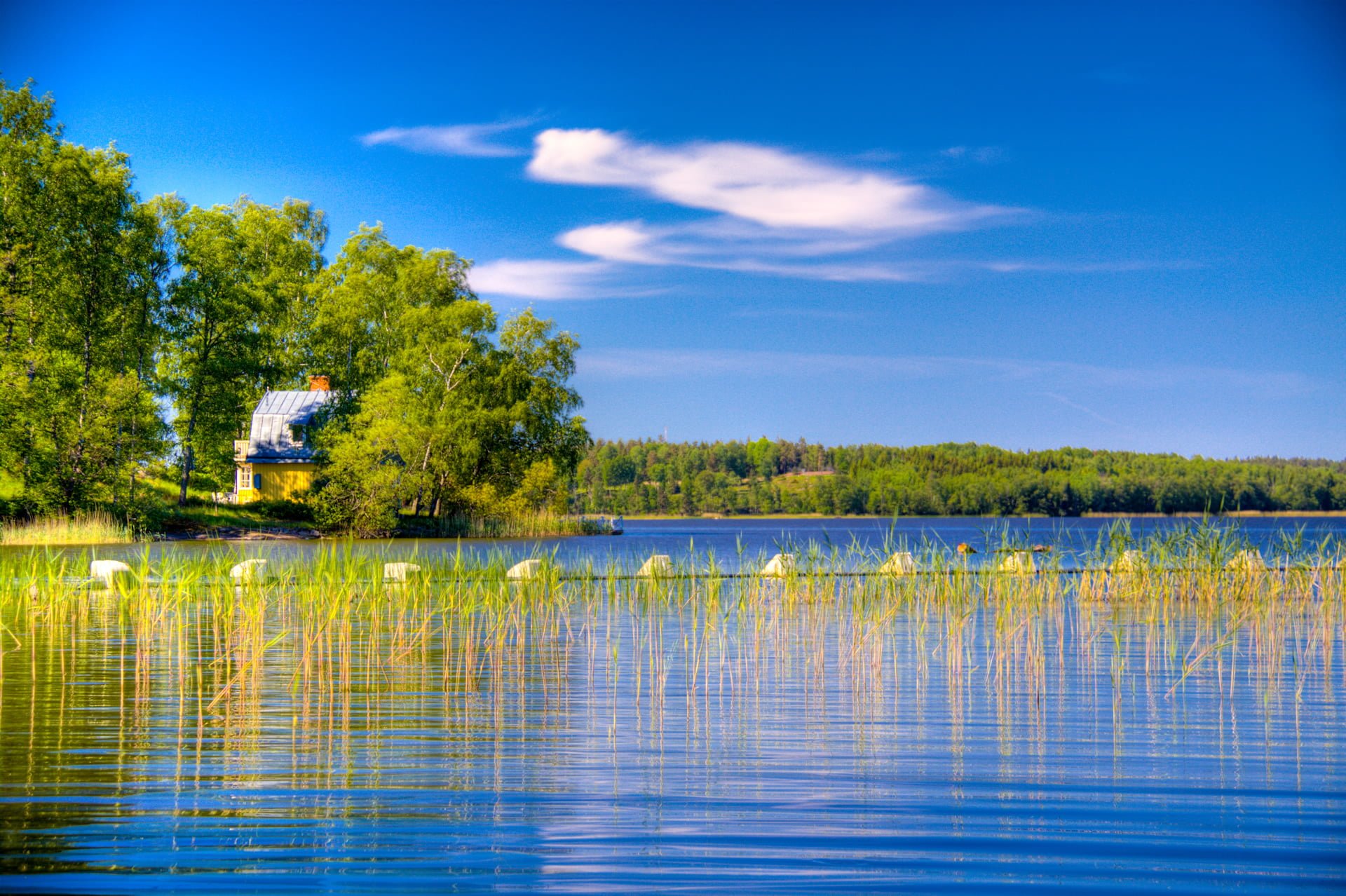 isveç arka planları