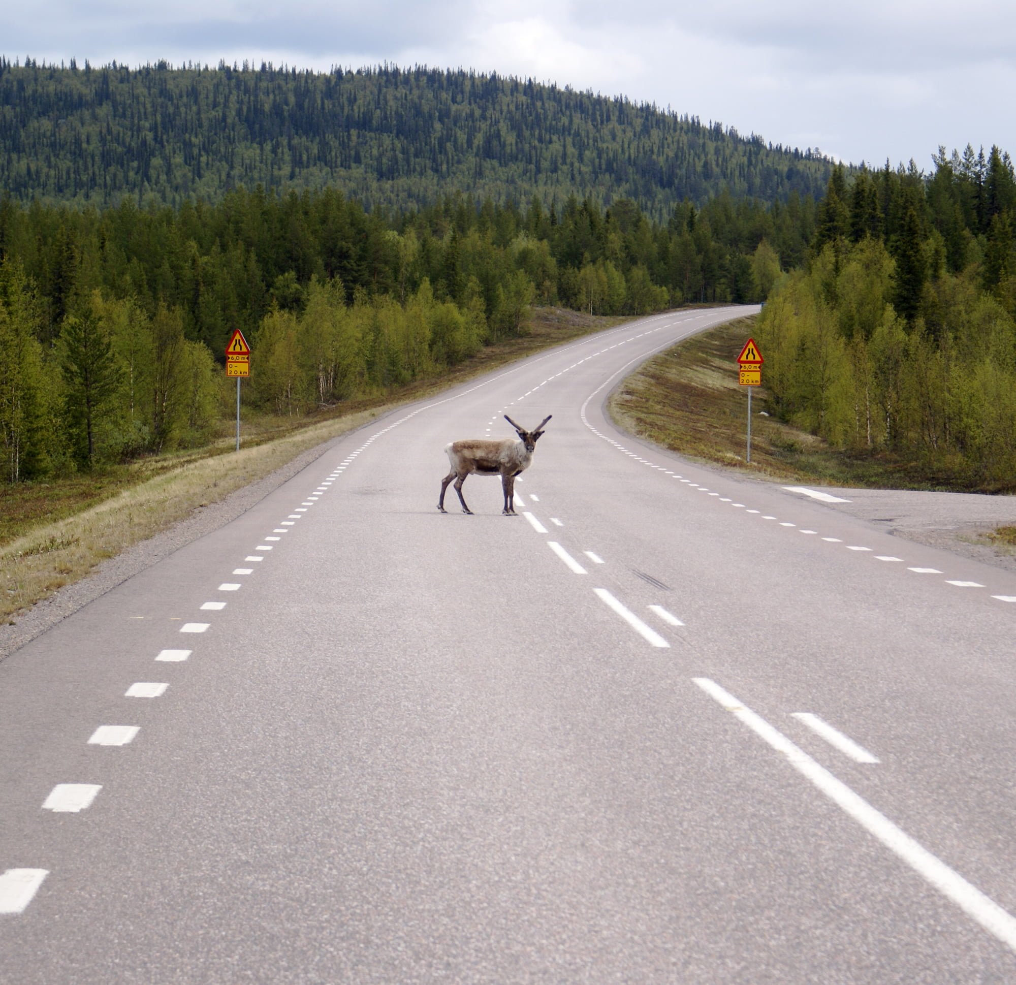 isveç resimleri - 4