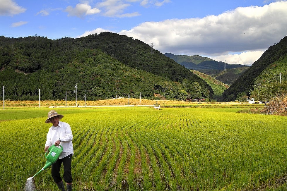 japonya resimleri - 6