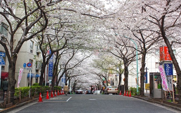 japonya tertemiz sokaklar