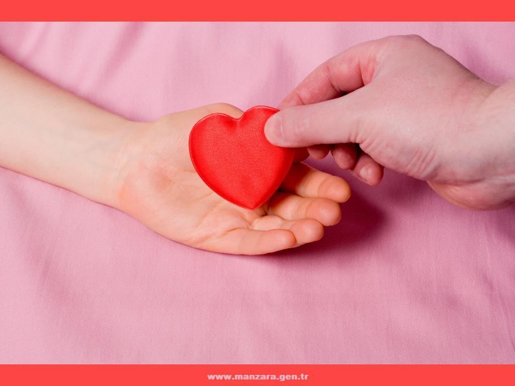 kalpli-duvar-kagitlari-49-1298060660