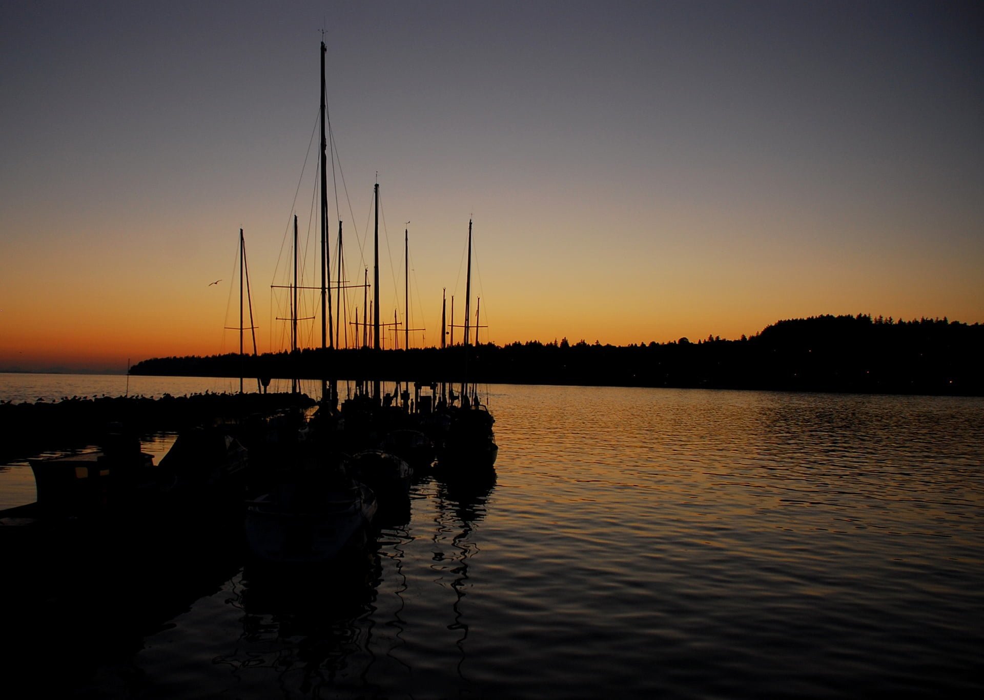 kanada arka planları - 2