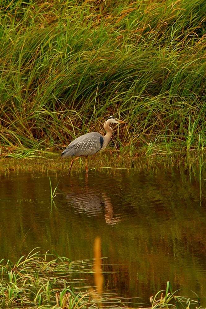kanada fotoğrafları - 2