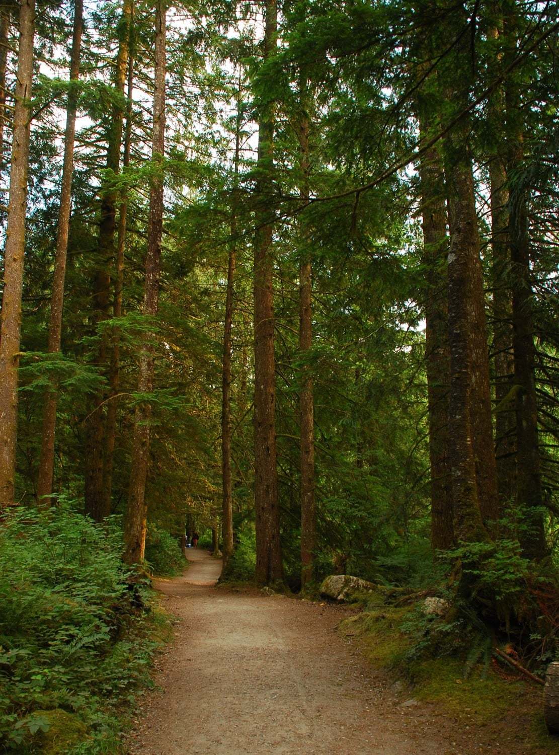 kanada fotoğrafları - 3