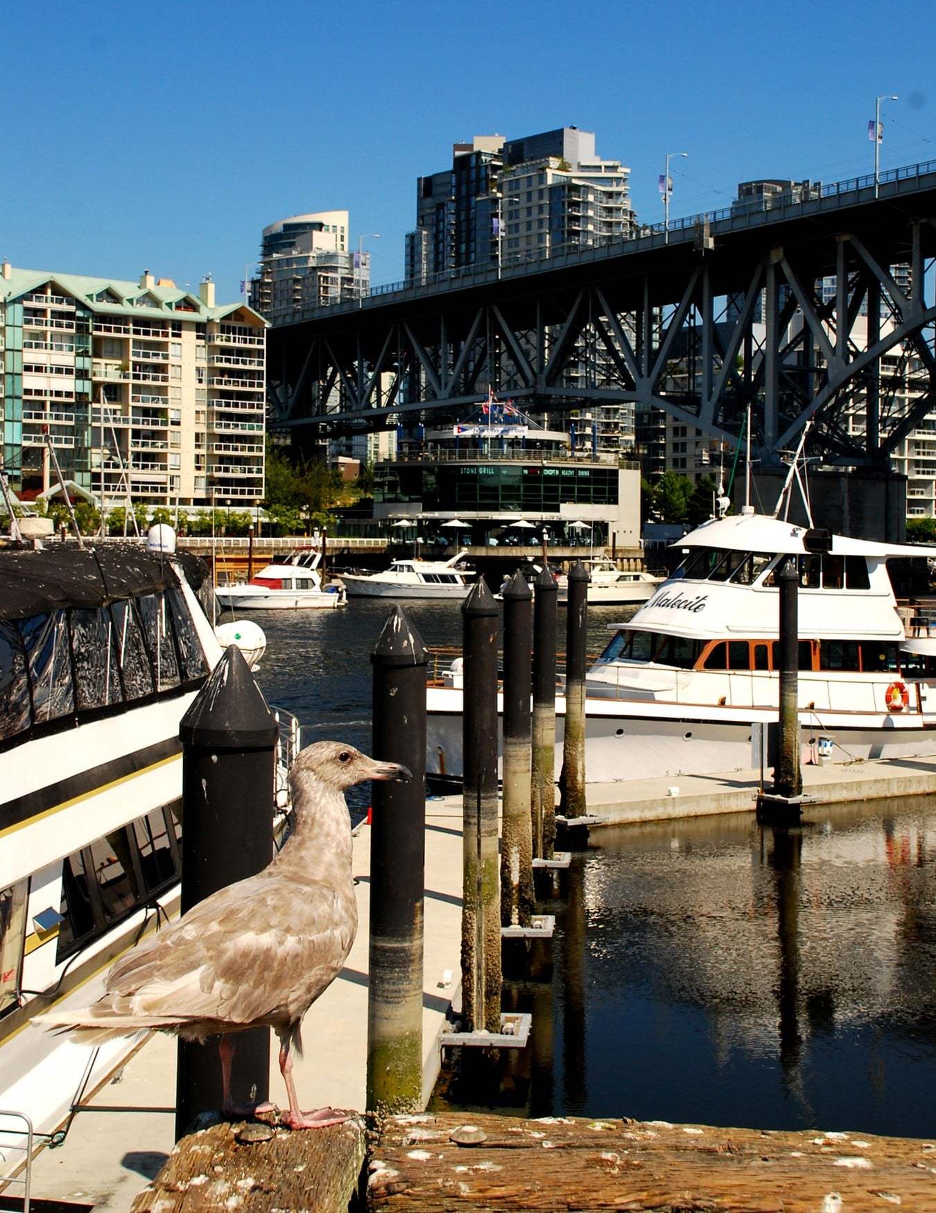 kanada görüntüleri - 3