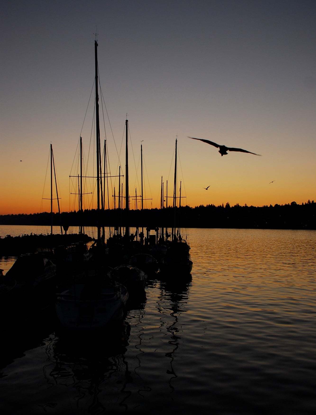 kanada manzaraları - 10