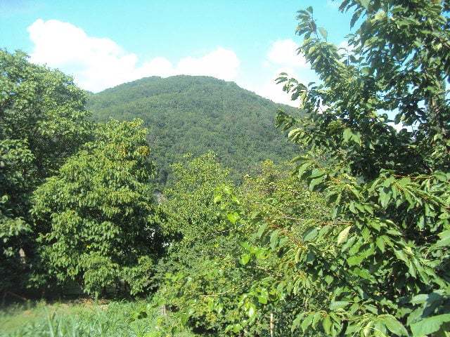 karadeniz manzarası