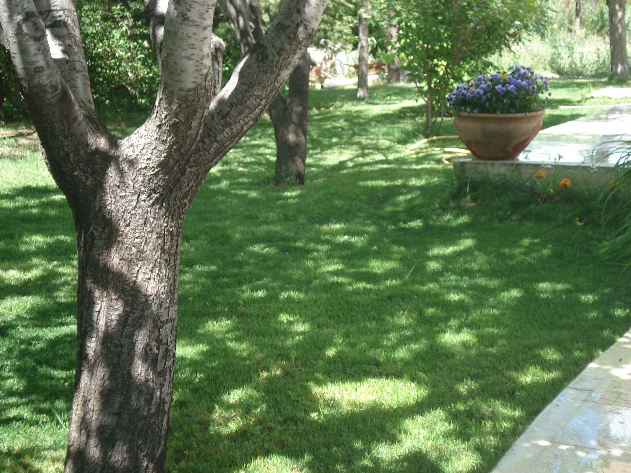 kendi-cekimlerimiz-1