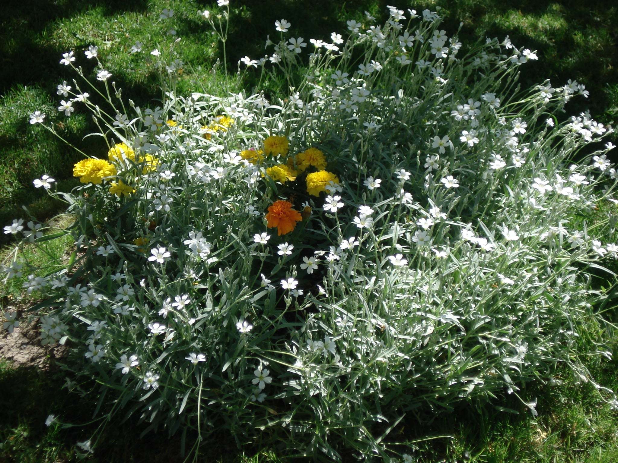 kendi-cekimlerimiz-2