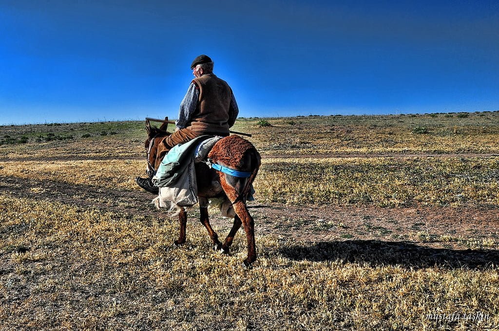 köylü ve eşek