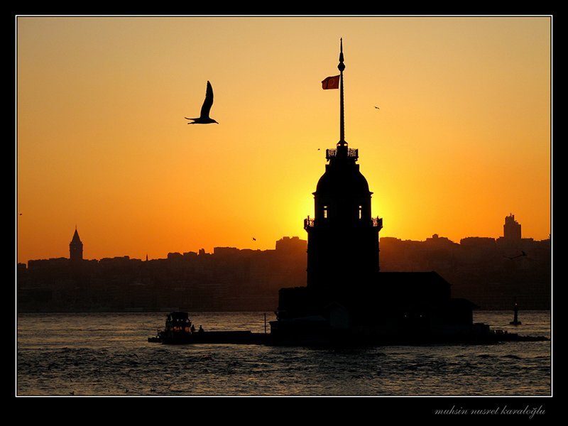 kız kulesi ve martı