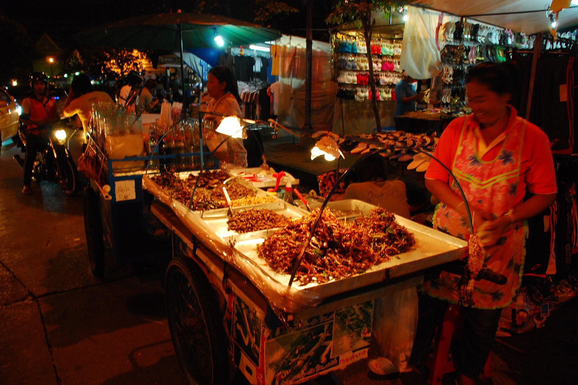 kızartılmış çekirge