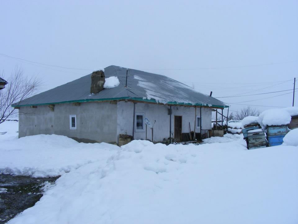 kış evi