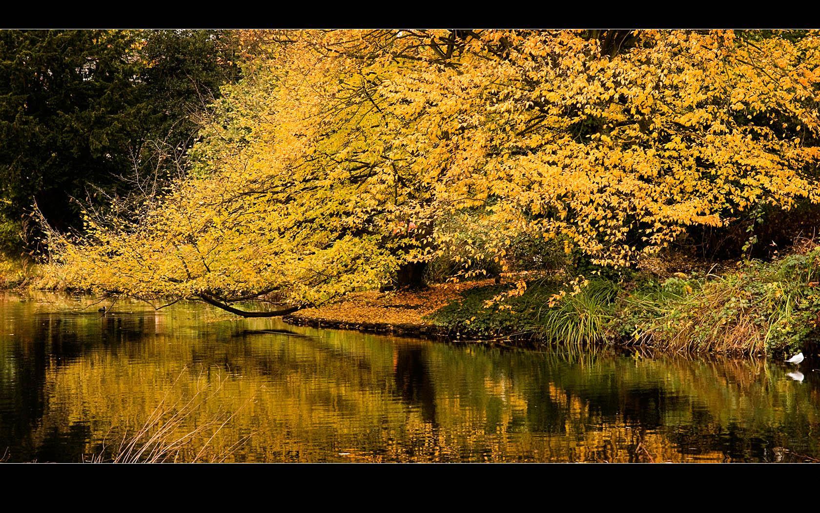 manzara-138-1300757263