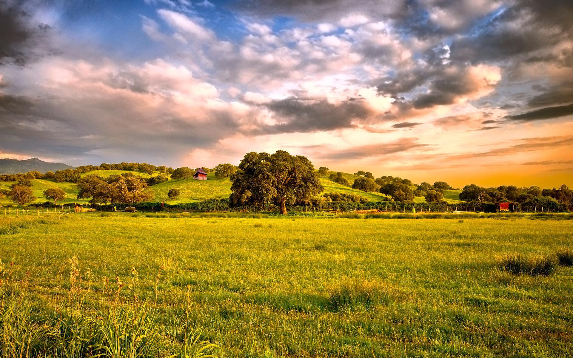 manzara-3-1298128830