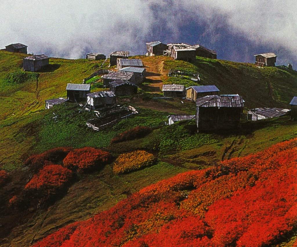 manzara-5-borcka_yaylasi_artvin-1298130014