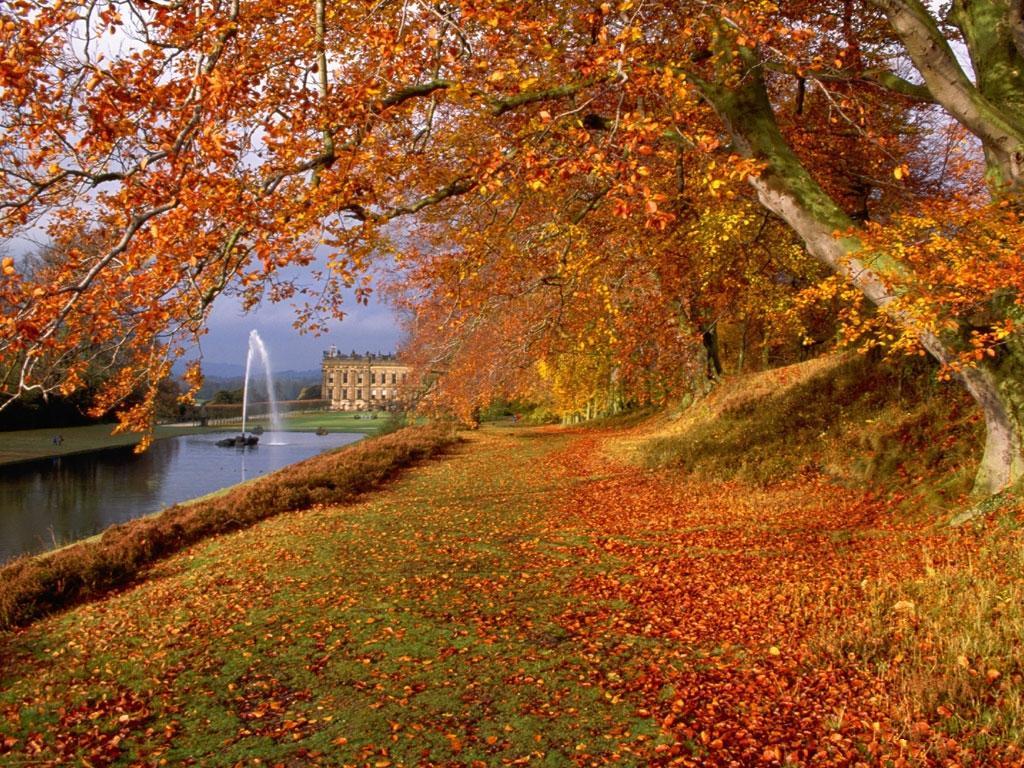 manzara-59-1299179882