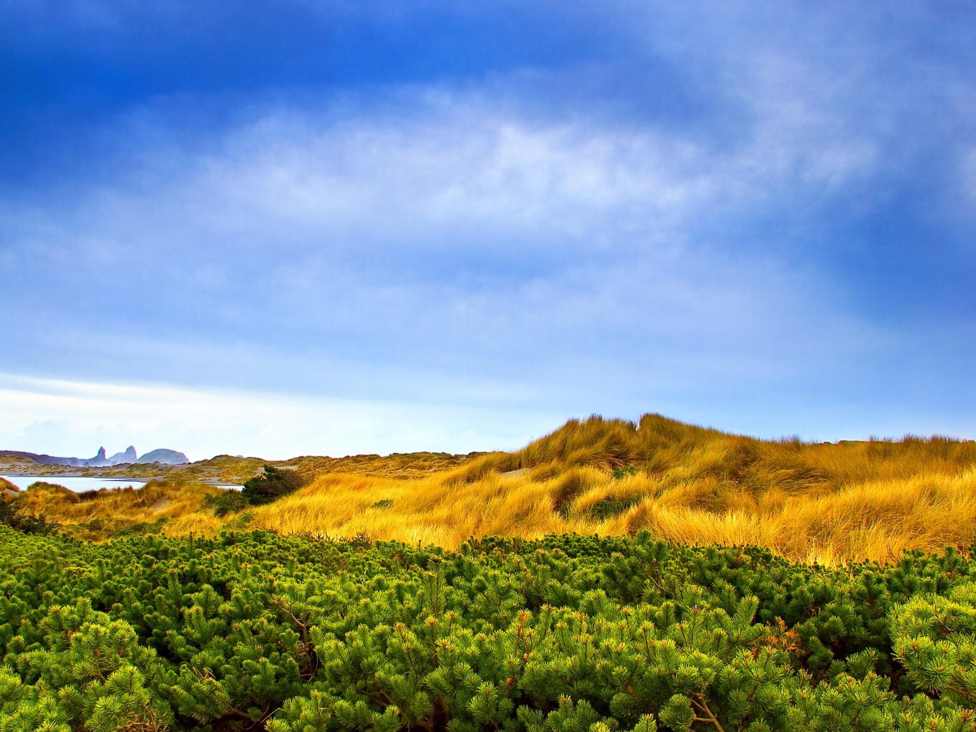 manzara-resimleri-204