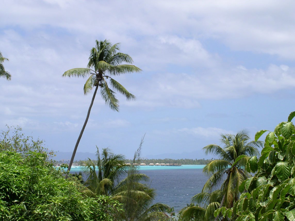 manzara-resimleri-208-1281086045