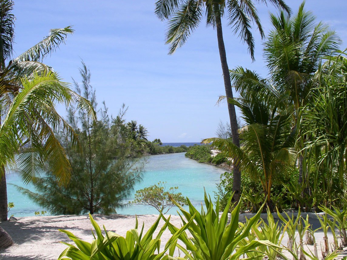 manzara-resimleri-209-1281087103