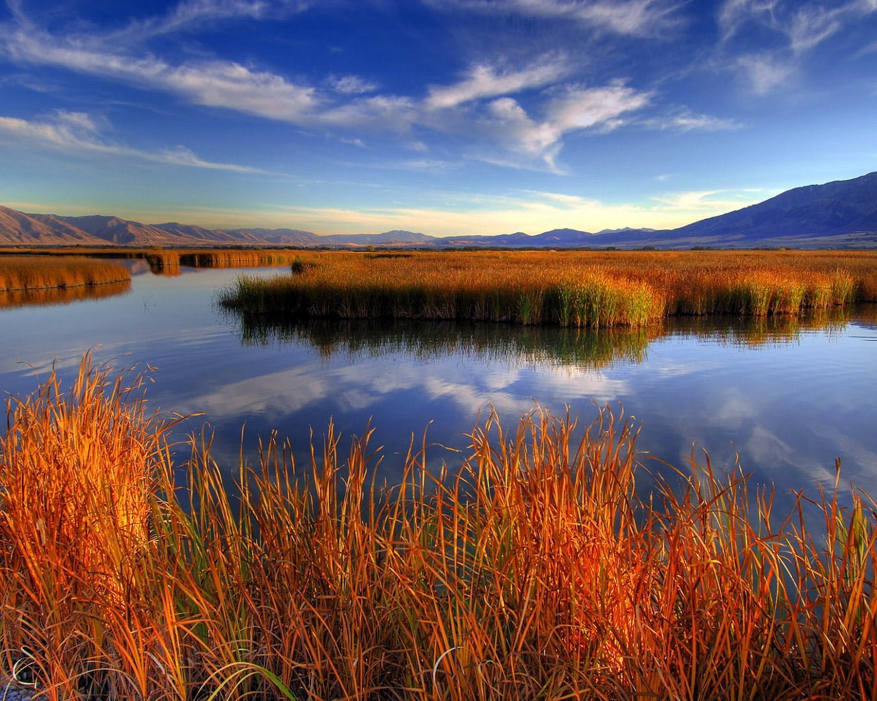 manzara-resimleri-257