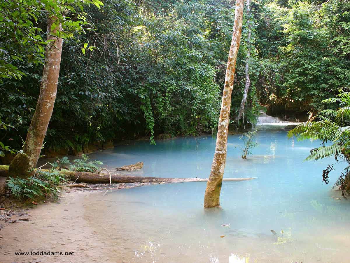 manzara-resimleri-269