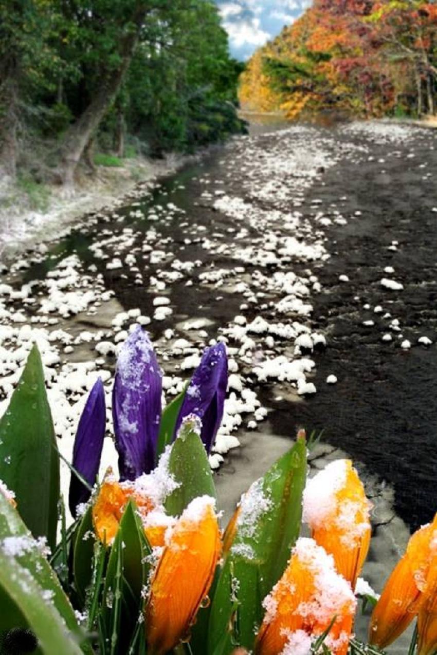 manzara-resimleri-287