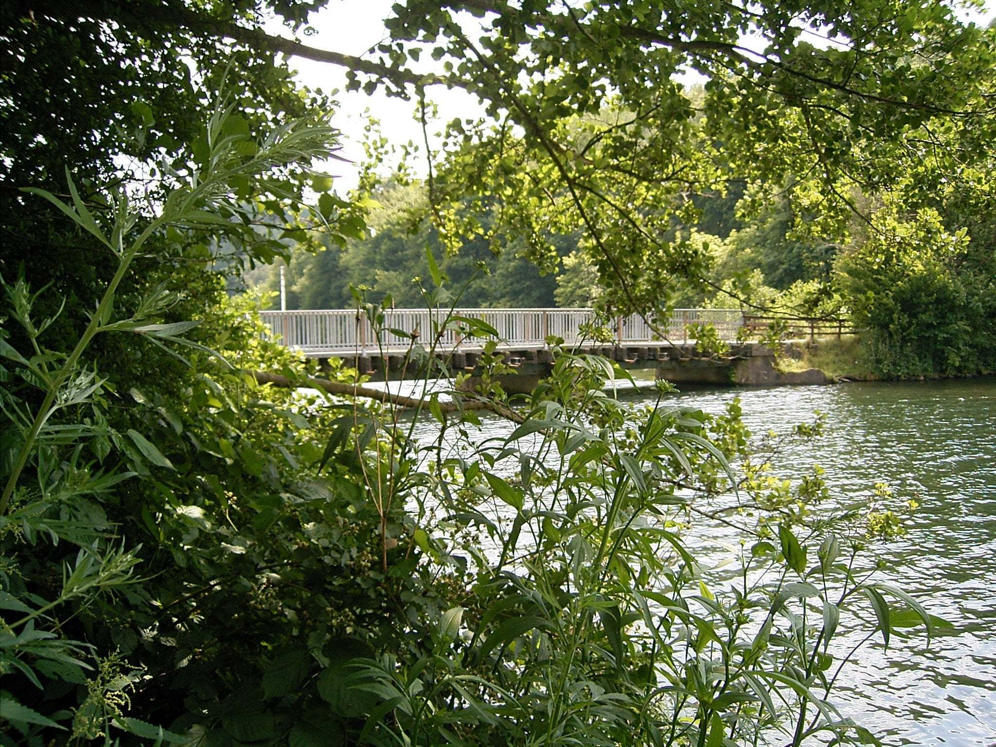 manzara-resimleri-312