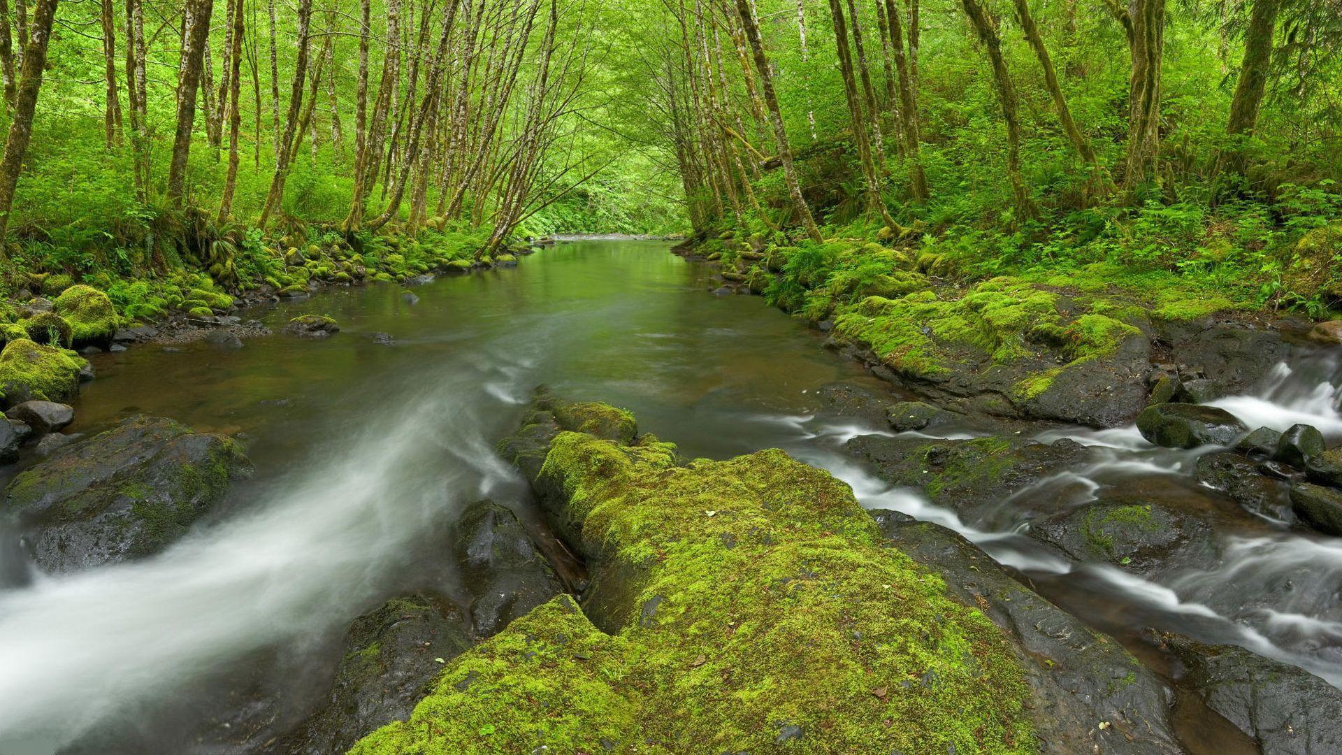 manzara-resimleri-326-1285768564