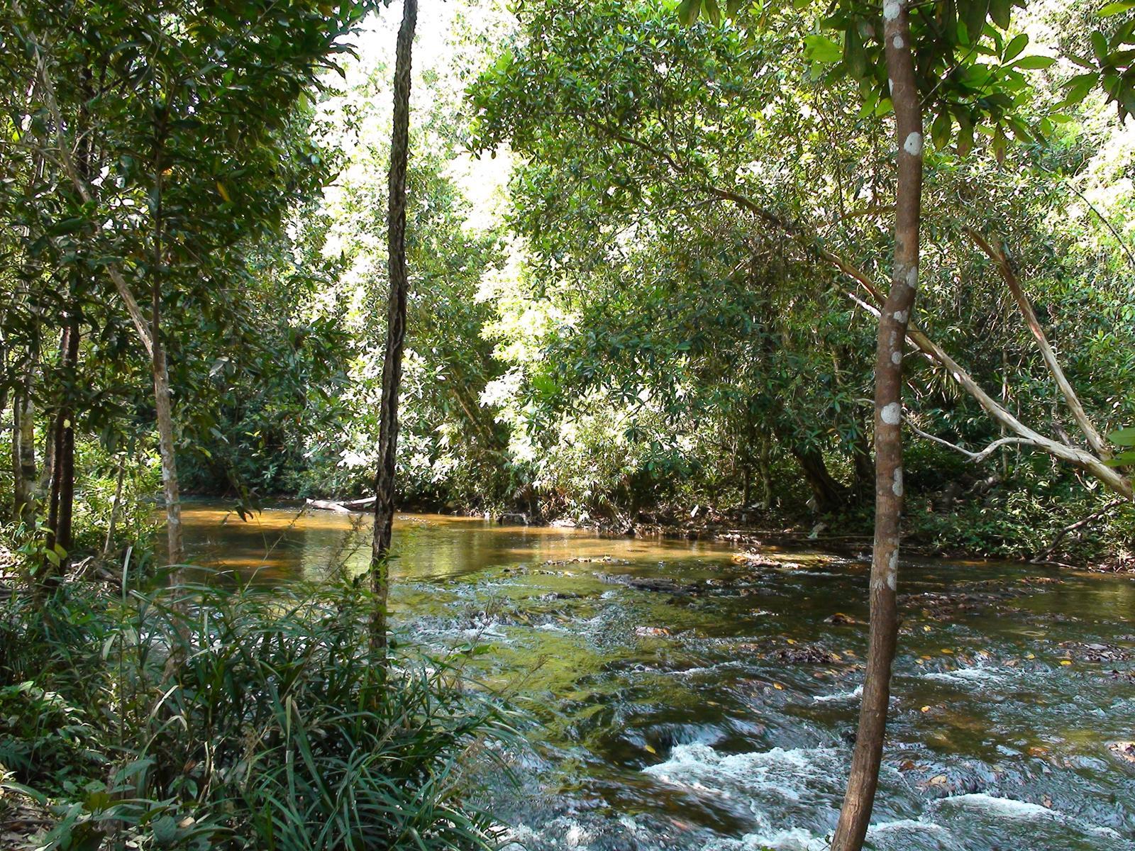 manzara-resimleri-332-1285771658