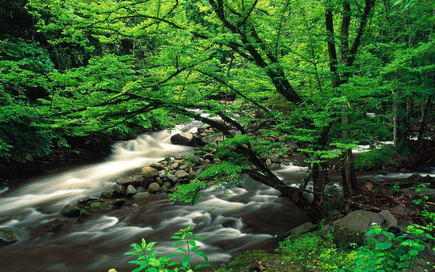 manzara-resimleri-357-1285939109