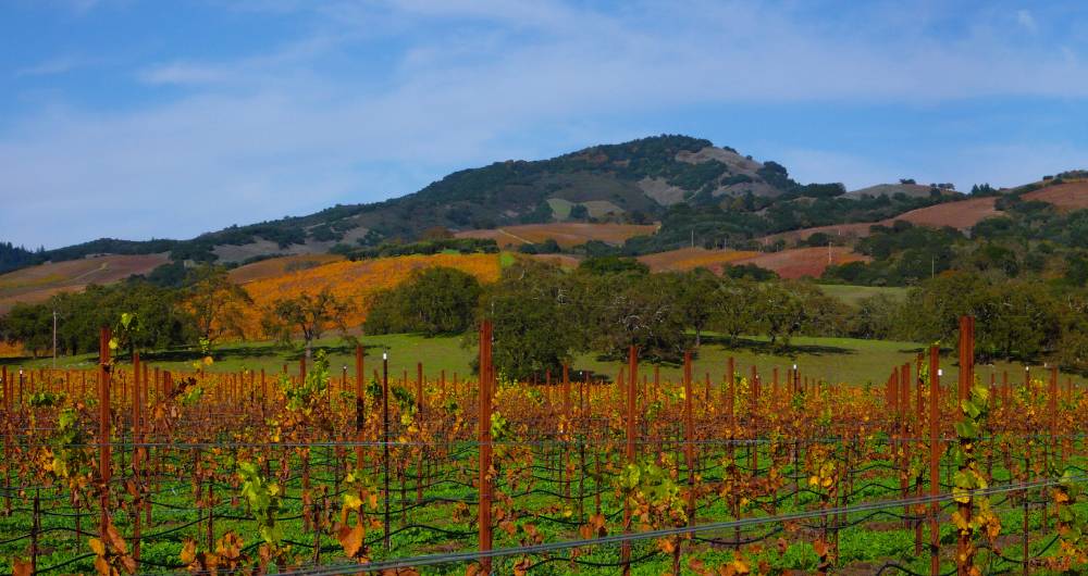 manzara-resimleri-372-1286280861