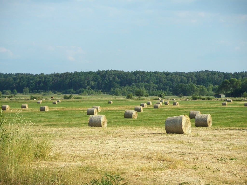 manzara-resimleri-390-1286359948