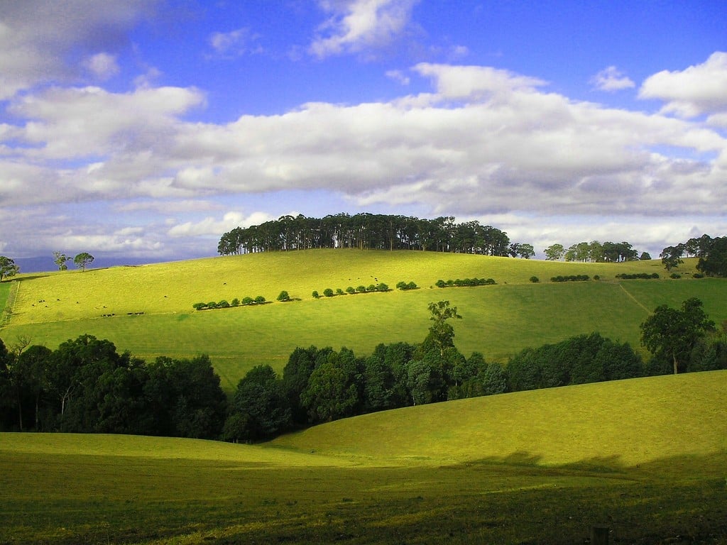 manzara-resimleri-394-1286361380