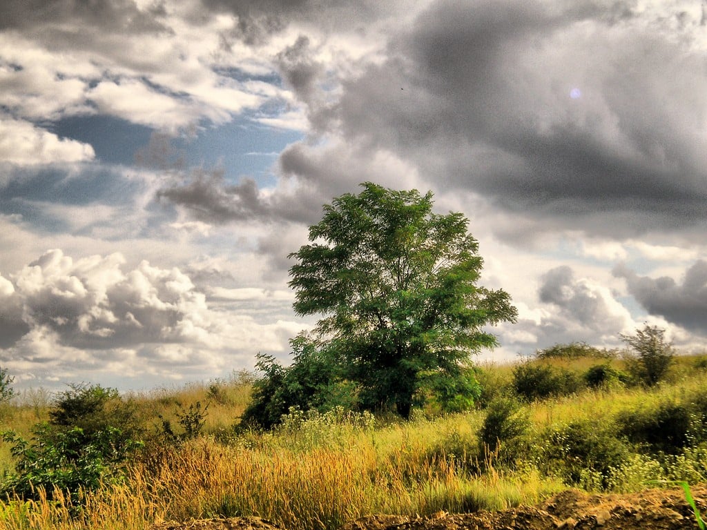 manzara-resimleri-396-1286361900