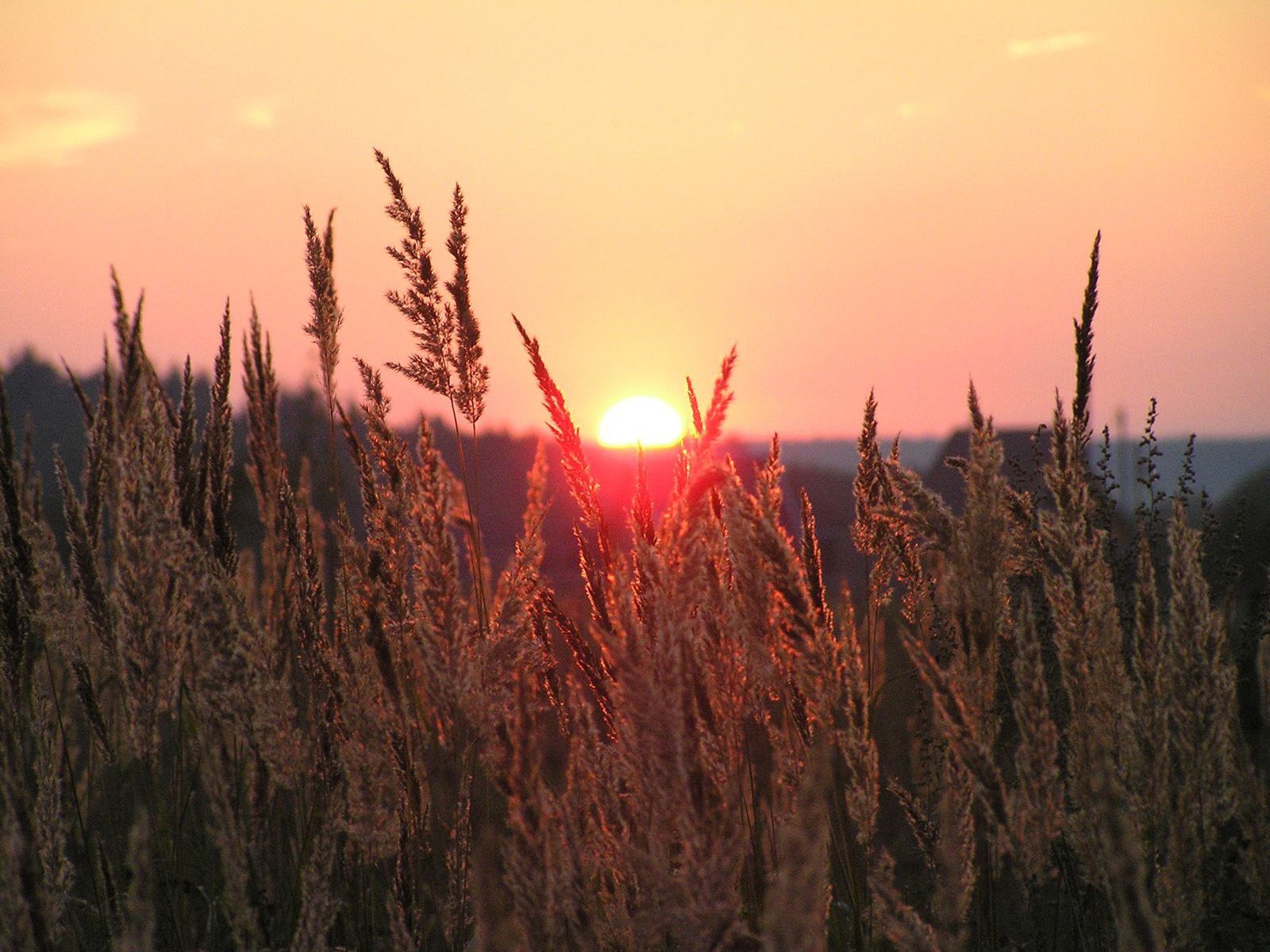 manzara-resimleri-506-1287354532