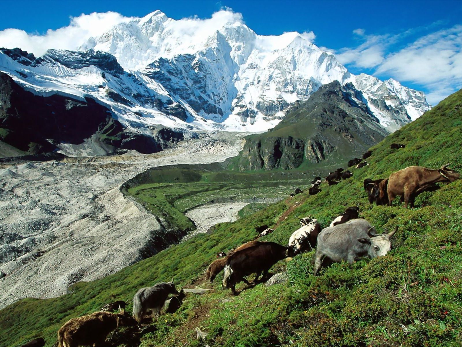 manzara-resimleri-508-tibet-1287355646