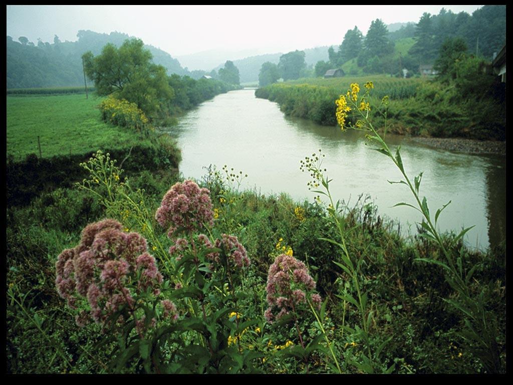 manzara-resmi2-1295554066