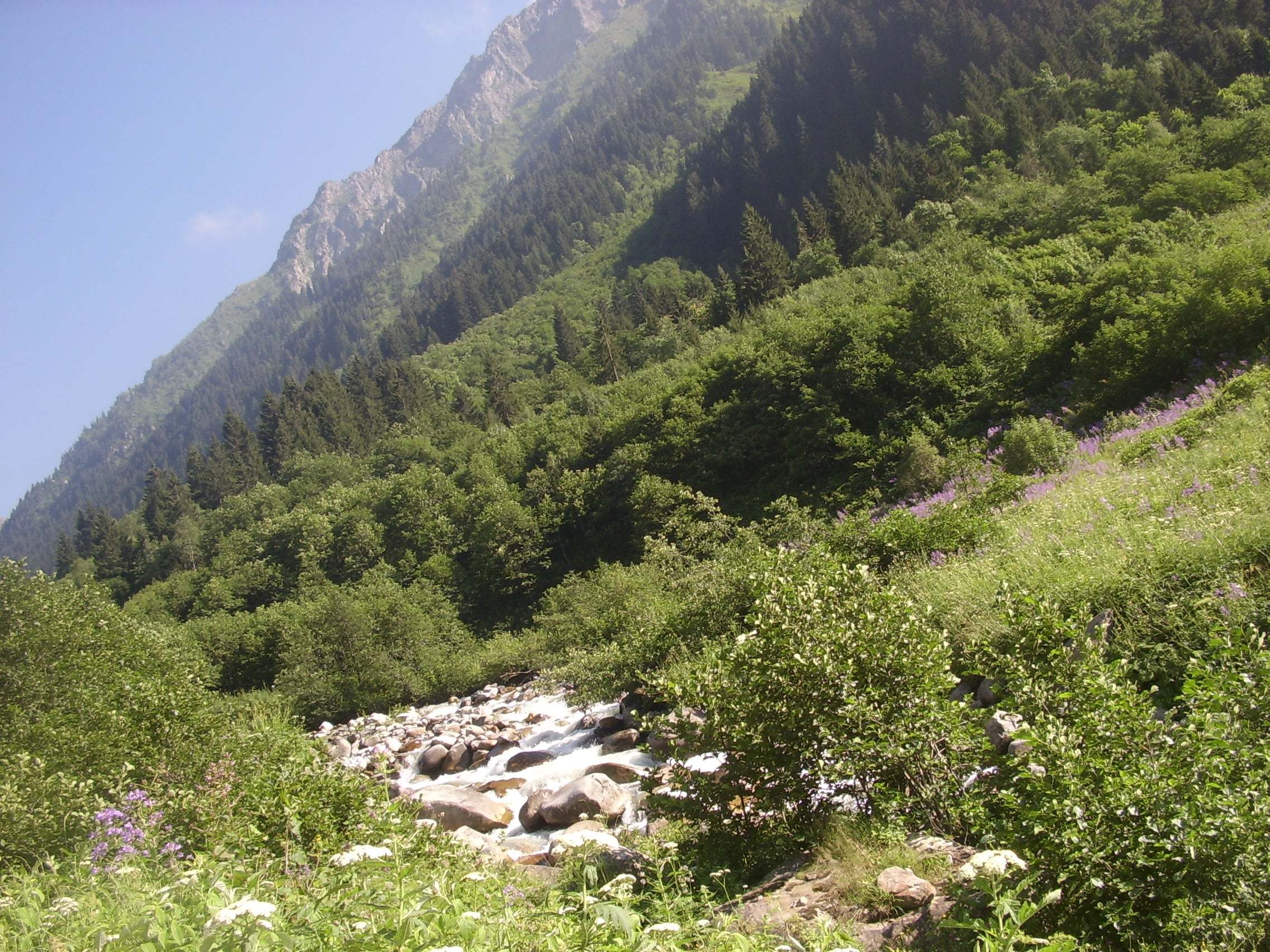 meydan köyü - kaçkar